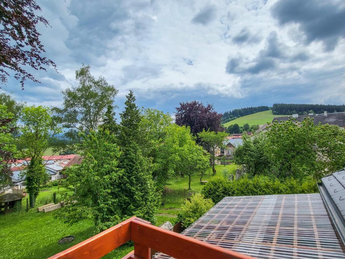 Apartmany U Kolacku Hartmanice  Εξωτερικό φωτογραφία