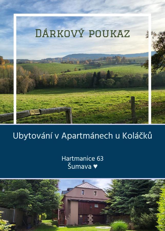 Apartmany U Kolacku Hartmanice  Εξωτερικό φωτογραφία
